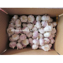 High Quality &Best Price Fresh Garlic